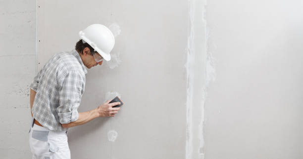 Mold Odor Removal Services in Moodus, CT