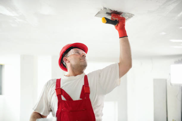 Best Post-Construction Mold Inspection  in Moodus, CT