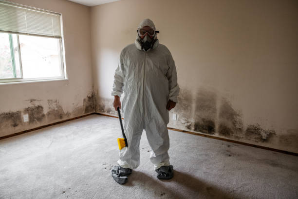 Reliable Moodus, CT Mold Removal Solutions