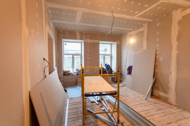 Trusted Moodus, CT Mold Removal Experts